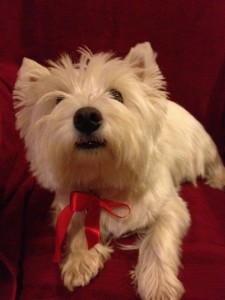 Don't let her looks fool you!